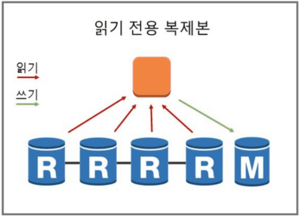 RDS의 Read Replica를 통한 탄력성 향상